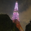Tokyo Tower Today