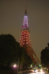 TOKYO TOWER TODAY