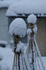 大雪