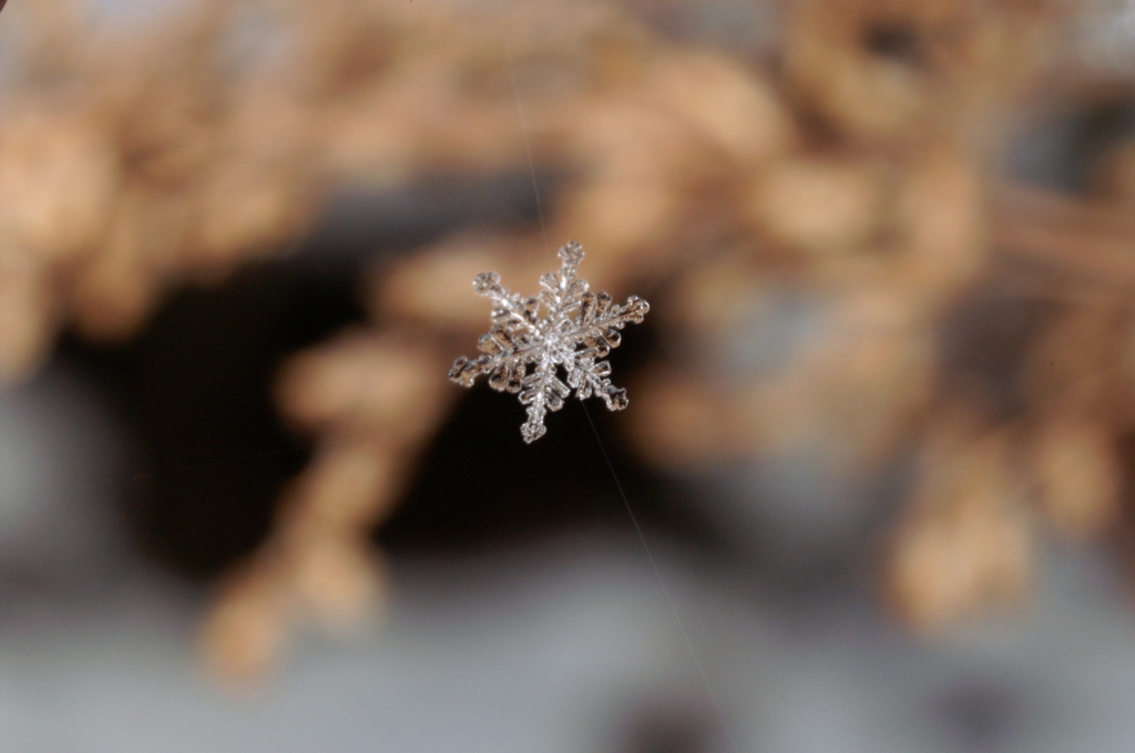 雪
