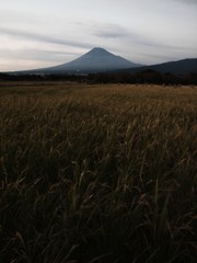 秋の富士