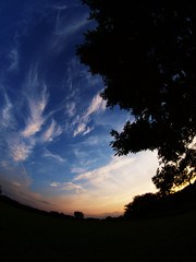 夏の空