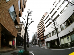 横浜