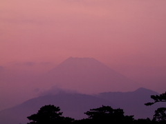 富士山