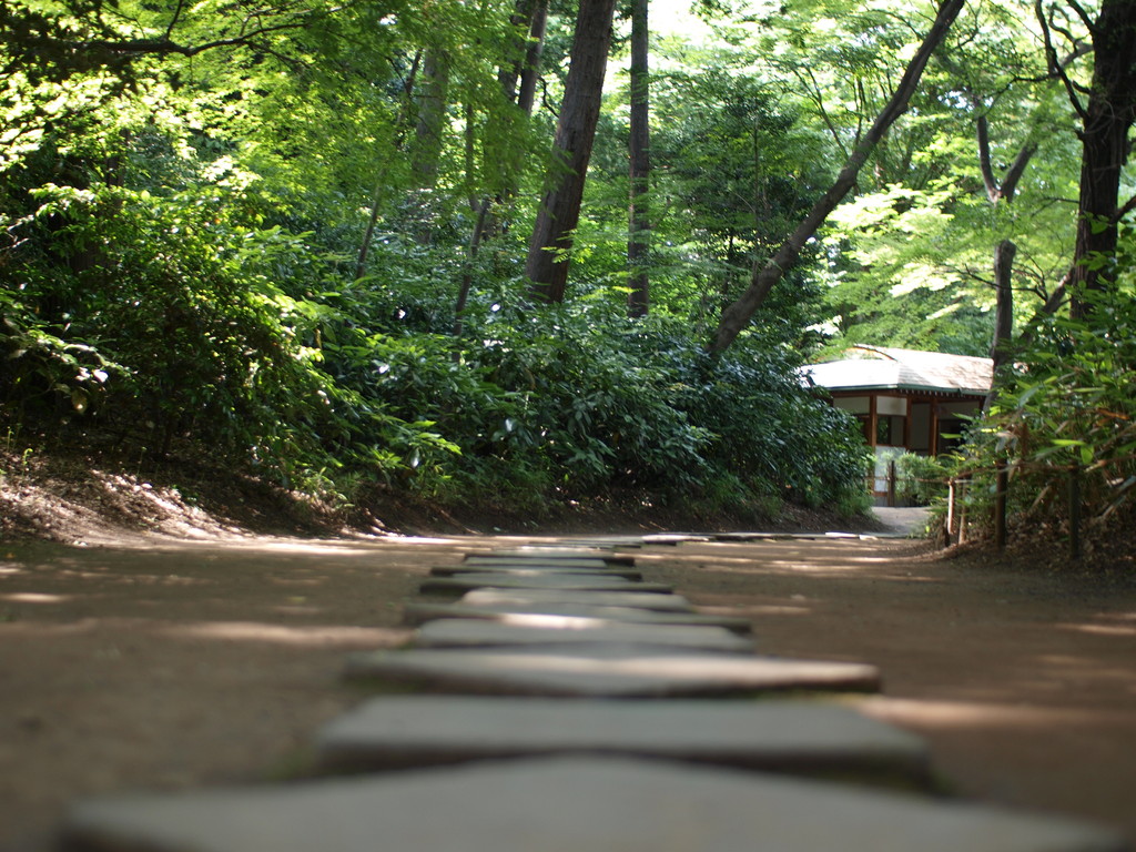 散歩道