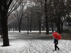 雪と散歩