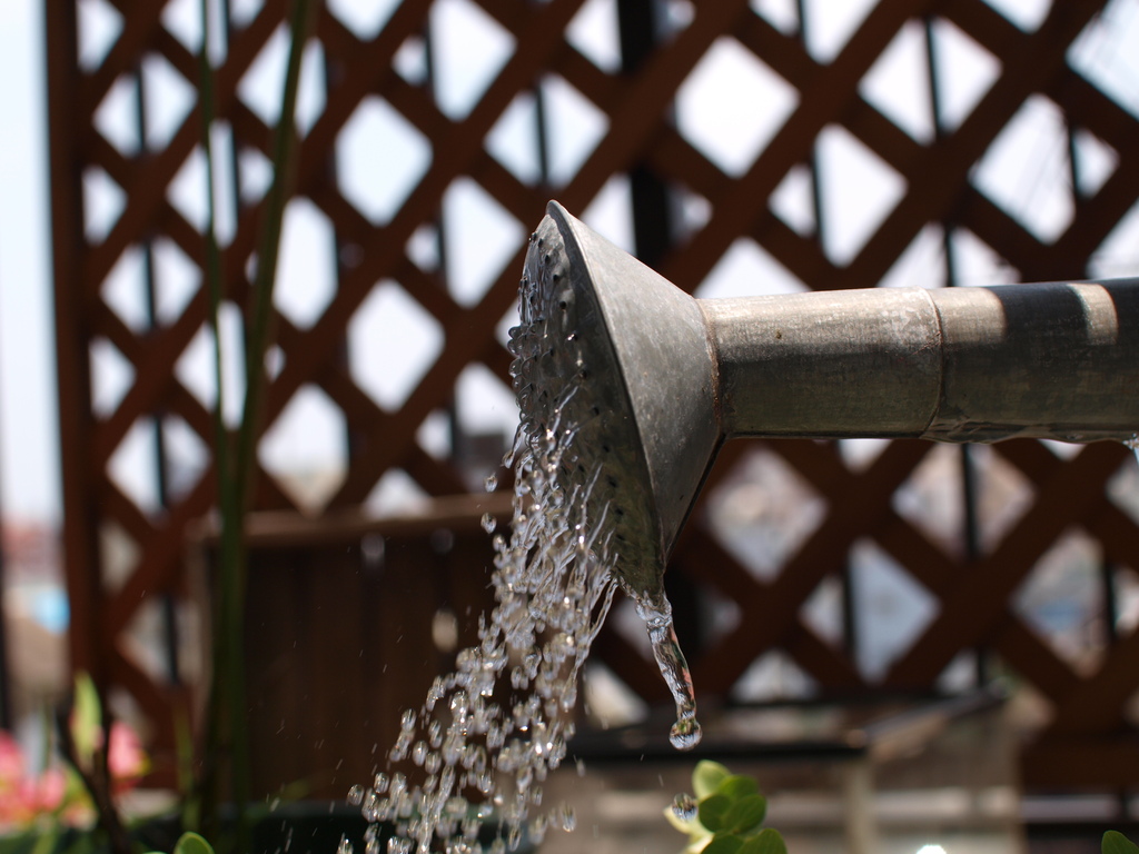 splash