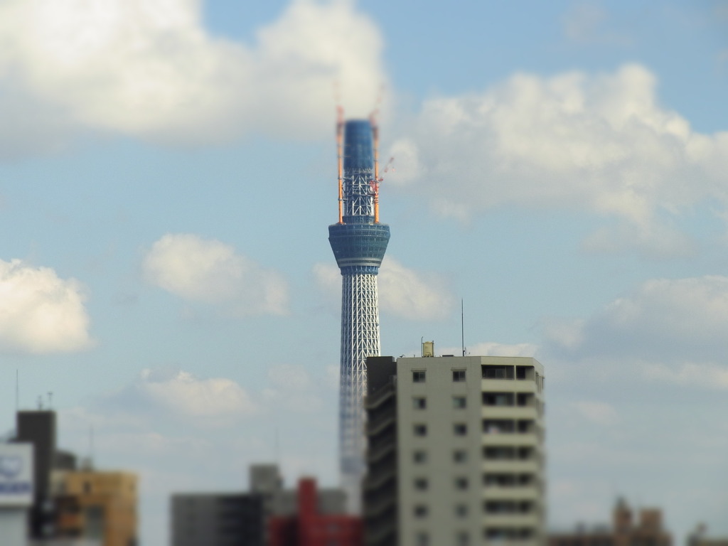 東京ｽｶｲﾂﾘｰ（2010年10月）