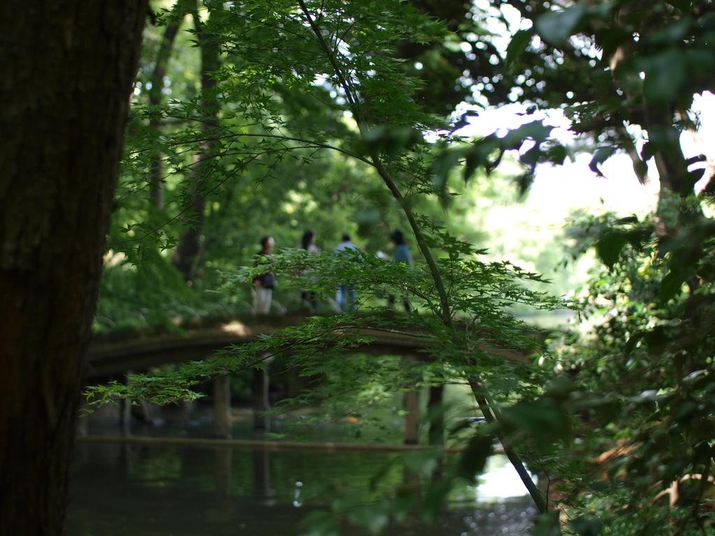 六義園