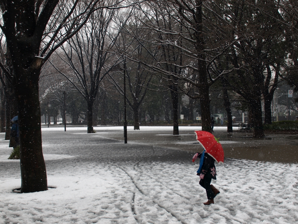 雪の公園