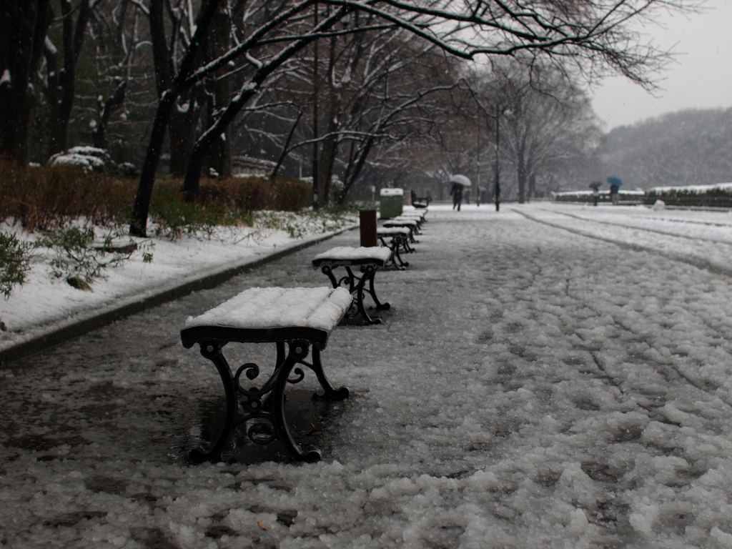 Snow Chair