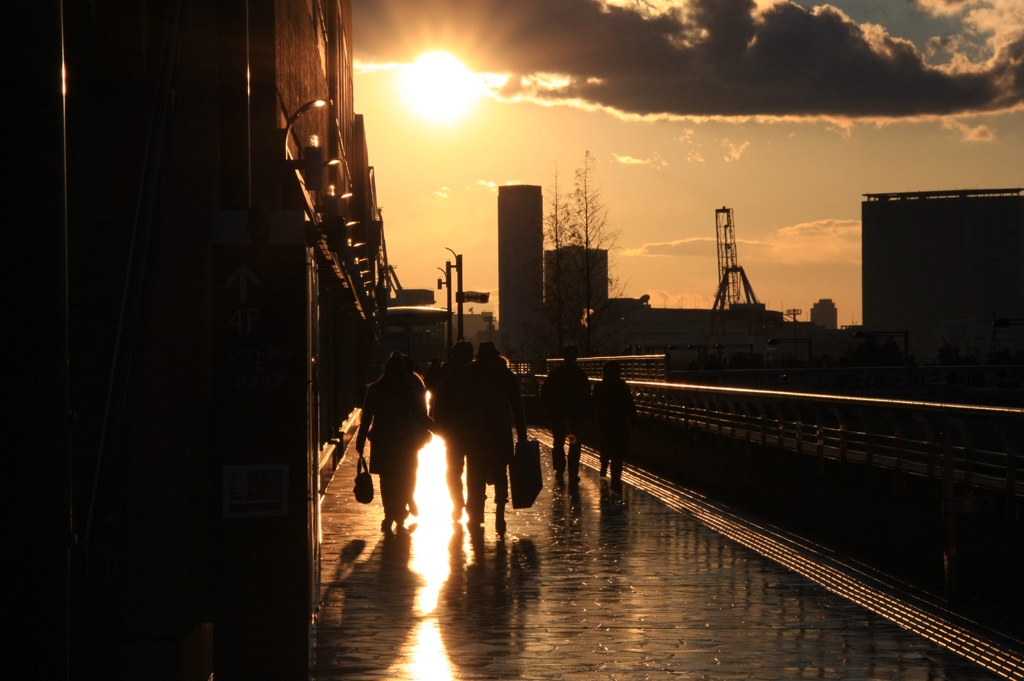 お台場夕景