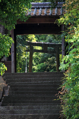 島の山寺