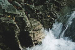 いつもの山奥の自然風景（渓流）
