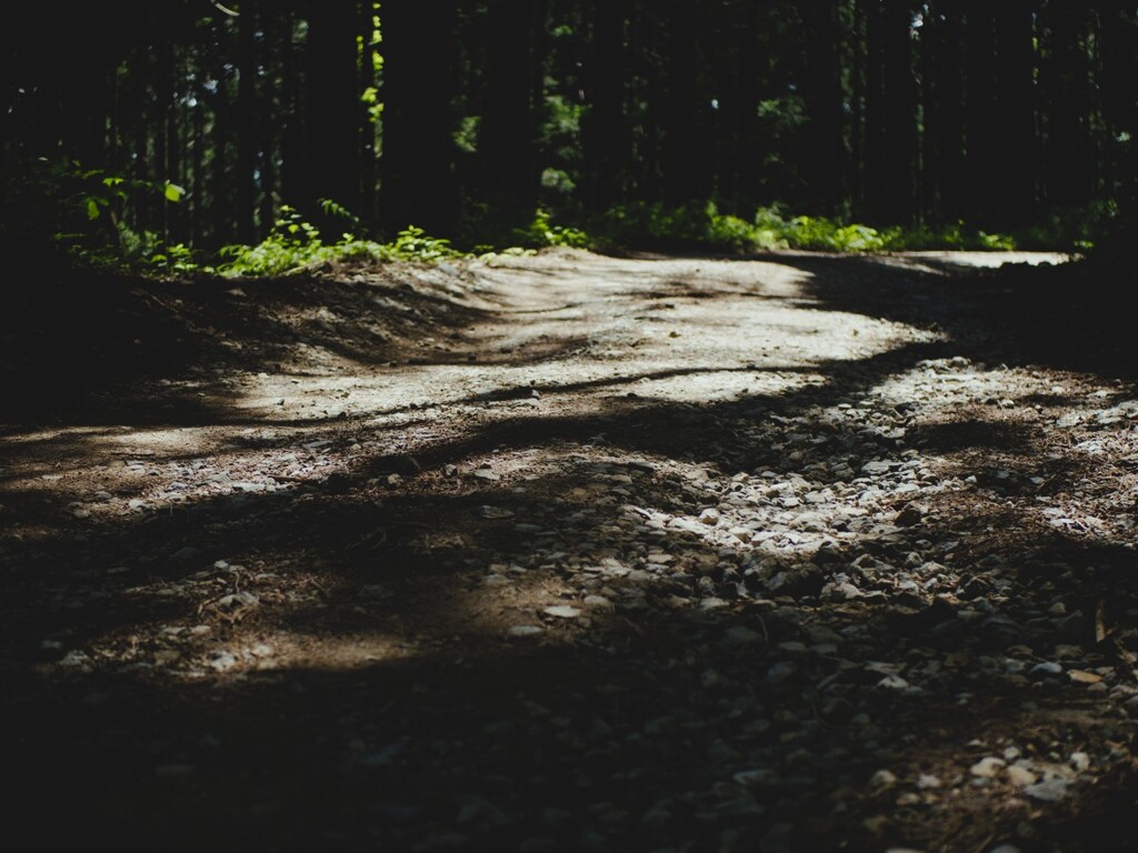 じゃり道