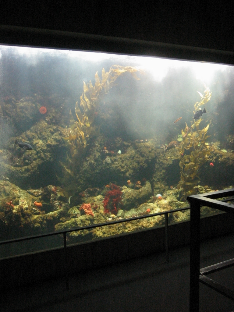 水族館