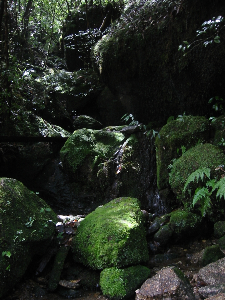 屋久島