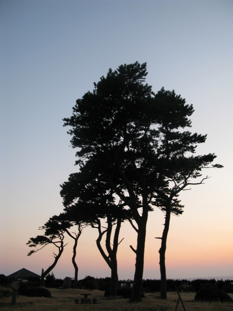 夕暮れ