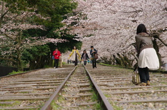 京都蹴上インクラインⅠ