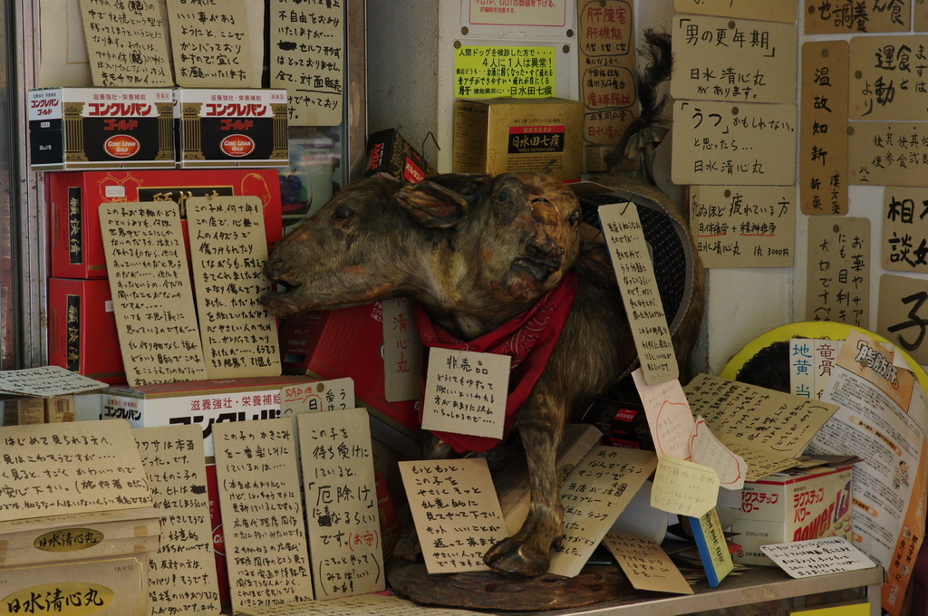 見てしまったらしかたがない．．．