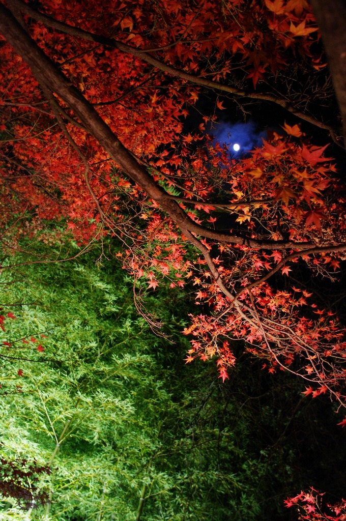 blue, red and green