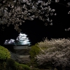 夜桜姫路城