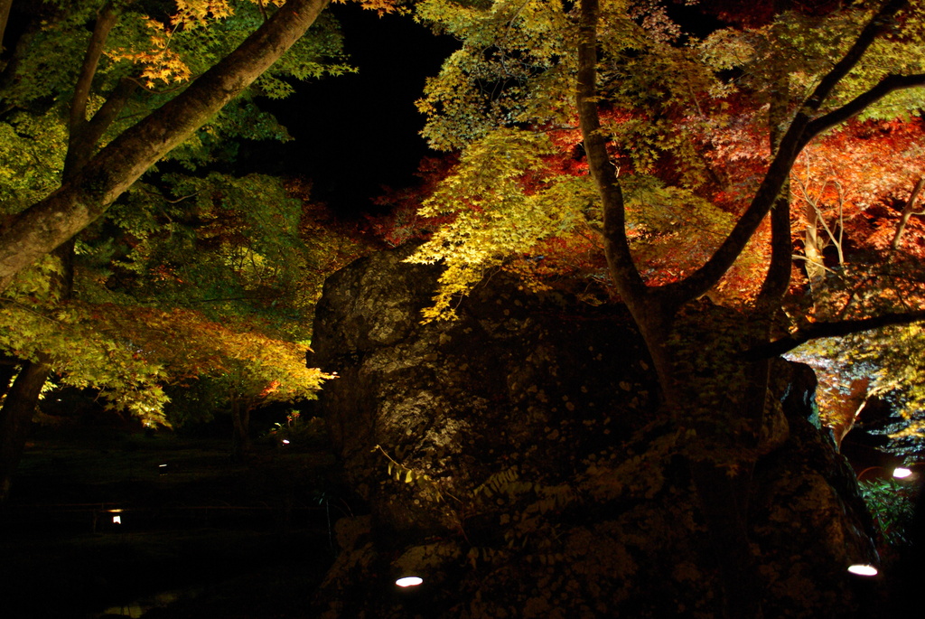 獅子吼の紅葉