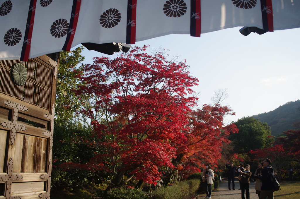 勧修寺の秋