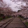 京都蹴上インクラインⅡ