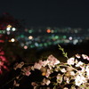 はなもも