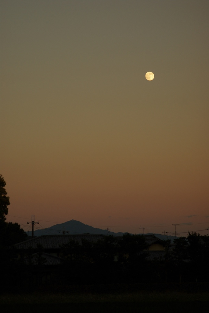 黄金の月