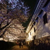 千姫の桜