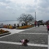 落とし物