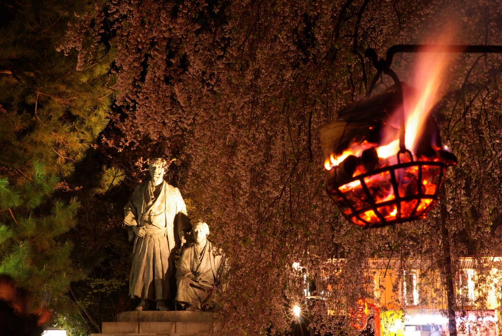 夜桜の円山公園