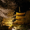 夜桜の三重塔