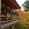 談山神社拝殿の秋