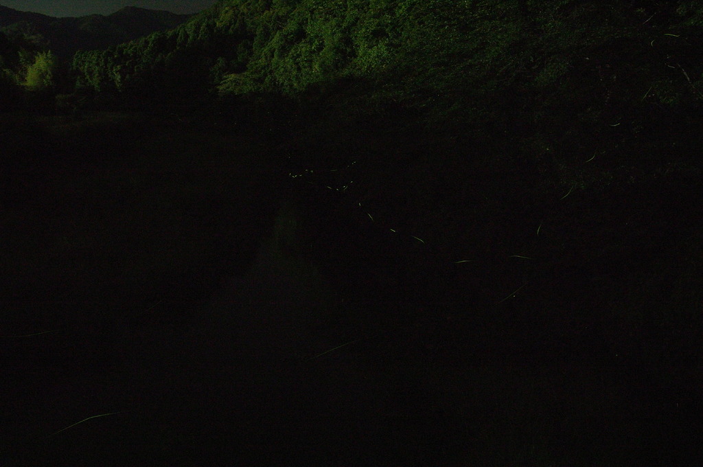 軌跡
