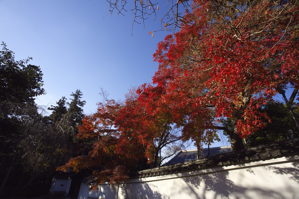 奈良　東大寺