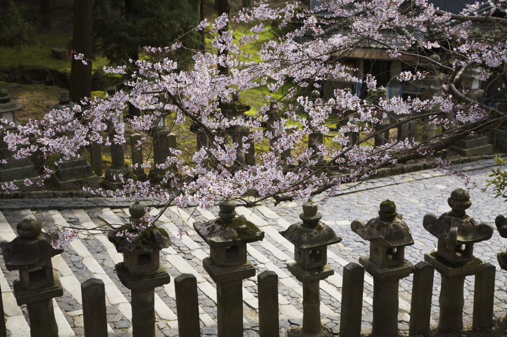 奈良　東大寺