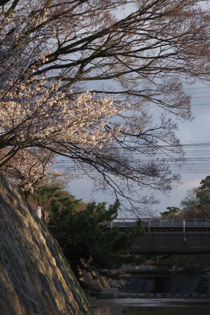 2008 夙川