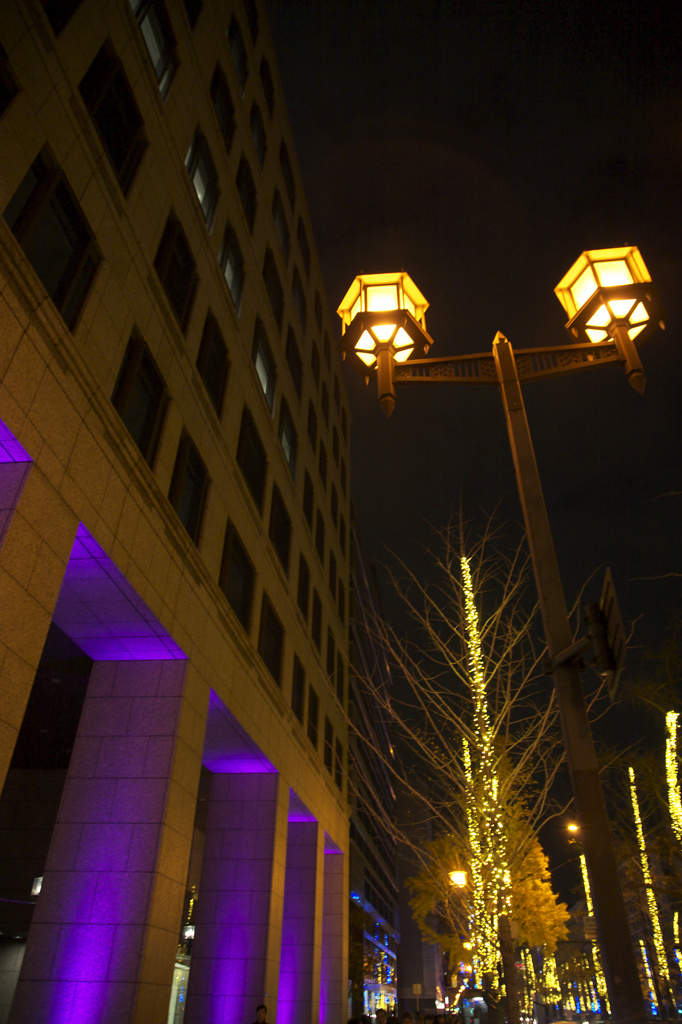 御堂筋　Illumination
