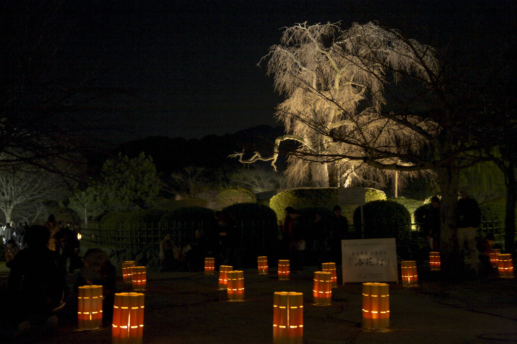 京都東山花灯路　2010