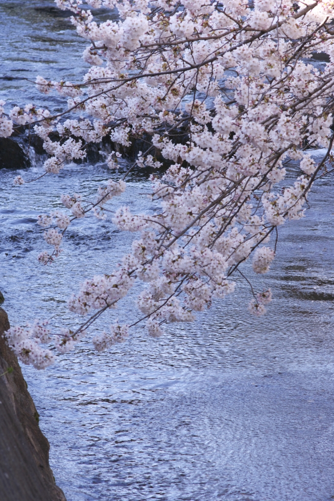 2008 夙川