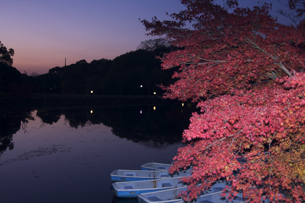 奈良公園　鷺池