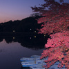奈良公園　鷺池