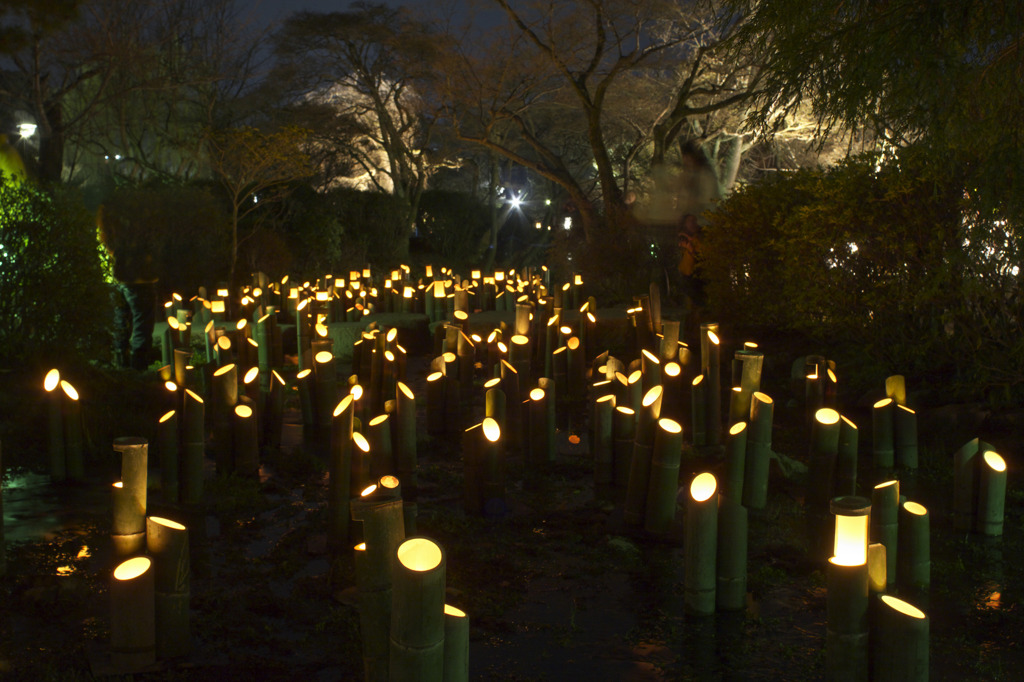 京都東山花灯路　2010