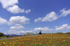 花の丘の春