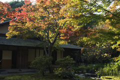 万博記念公園　日本庭園