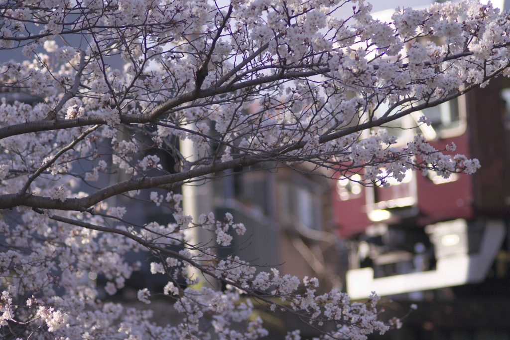 2００8 夙川
