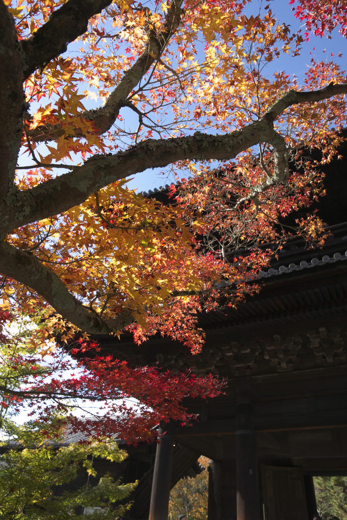 南禅寺